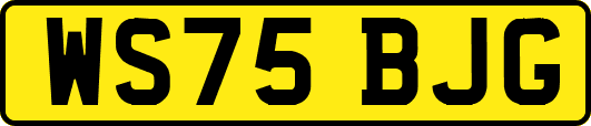 WS75BJG
