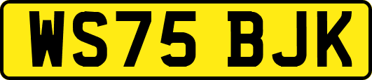 WS75BJK