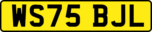 WS75BJL