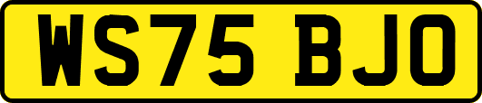 WS75BJO