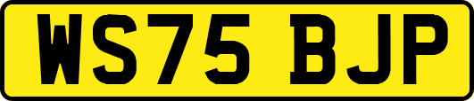 WS75BJP