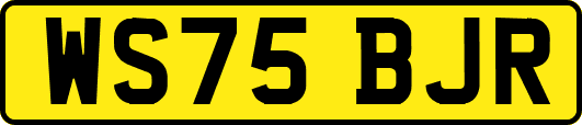 WS75BJR