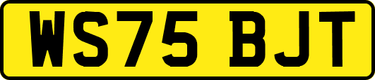 WS75BJT