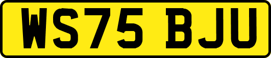 WS75BJU