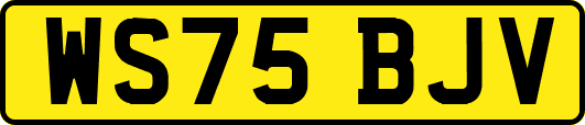 WS75BJV