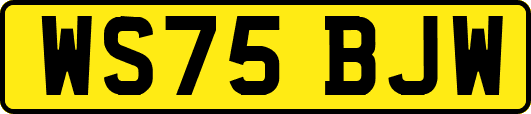 WS75BJW