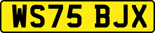 WS75BJX