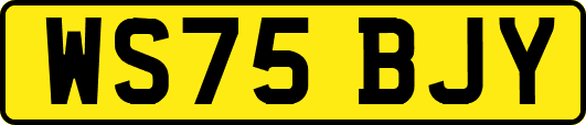 WS75BJY