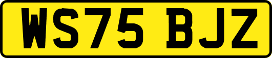 WS75BJZ
