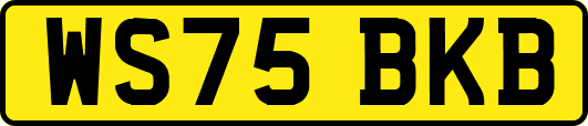 WS75BKB