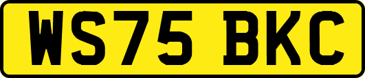 WS75BKC