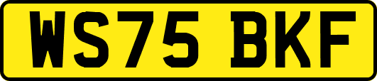 WS75BKF