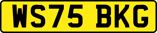 WS75BKG