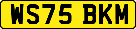 WS75BKM
