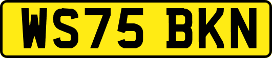 WS75BKN