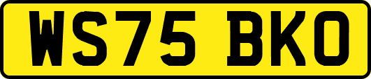 WS75BKO