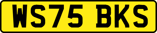 WS75BKS