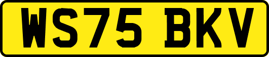 WS75BKV