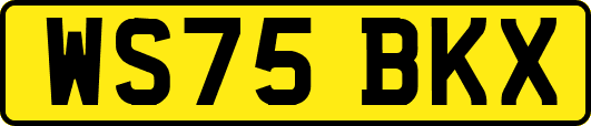 WS75BKX