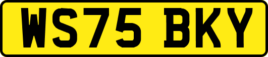 WS75BKY
