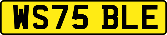 WS75BLE