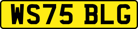 WS75BLG