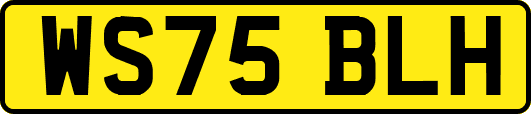 WS75BLH
