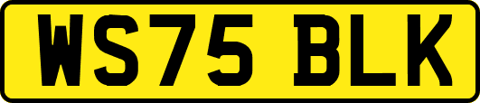 WS75BLK
