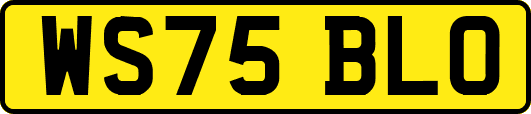 WS75BLO
