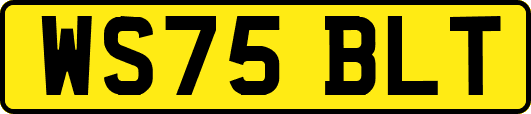 WS75BLT