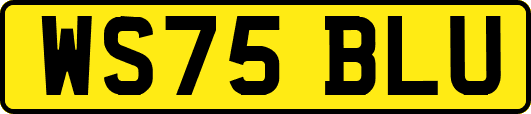 WS75BLU