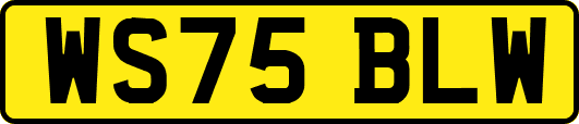 WS75BLW
