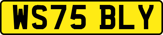 WS75BLY
