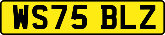 WS75BLZ