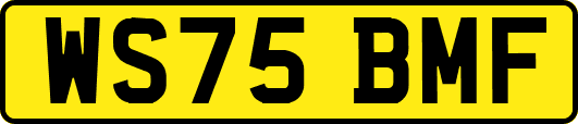 WS75BMF