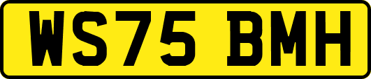 WS75BMH
