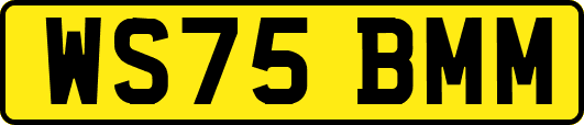 WS75BMM