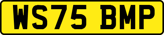 WS75BMP