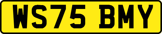 WS75BMY
