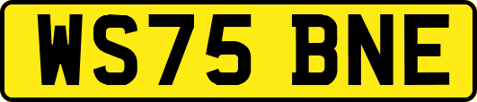 WS75BNE