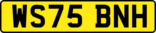WS75BNH
