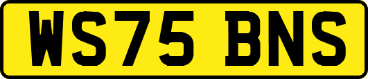 WS75BNS