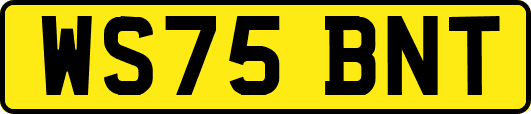 WS75BNT