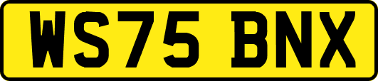 WS75BNX