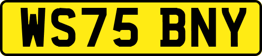 WS75BNY