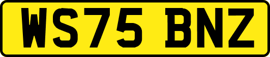 WS75BNZ