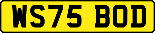 WS75BOD