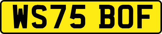 WS75BOF