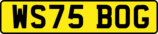 WS75BOG