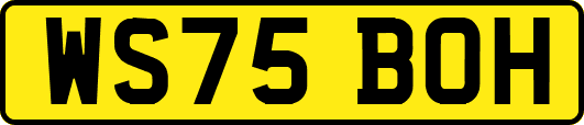 WS75BOH